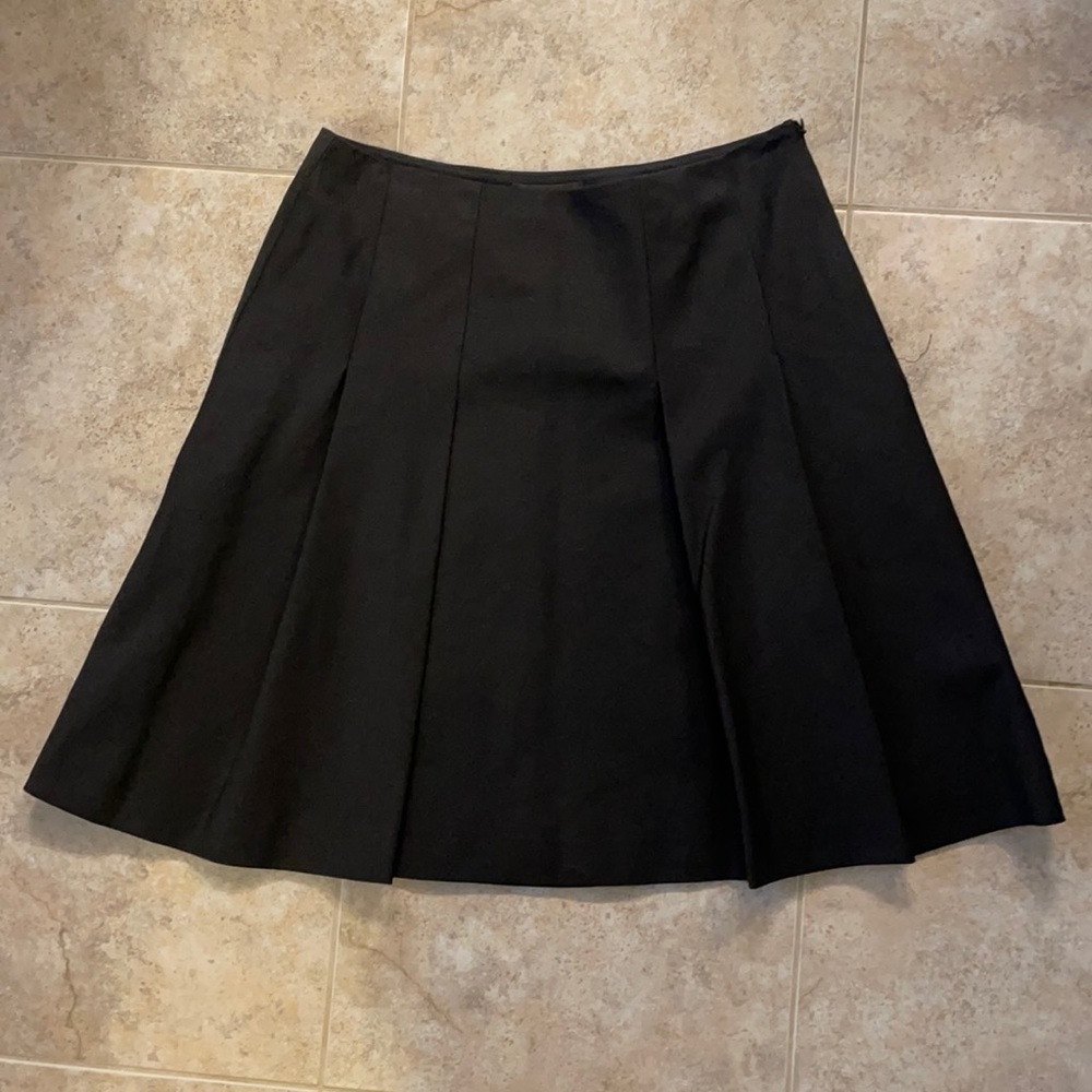 The Limited Skirt